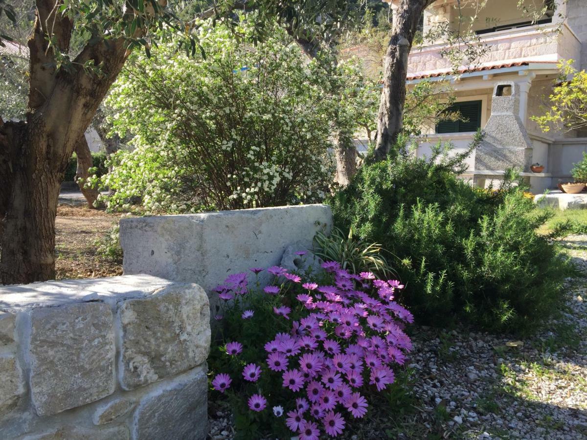 Apartments Iskra Duce Exterior photo